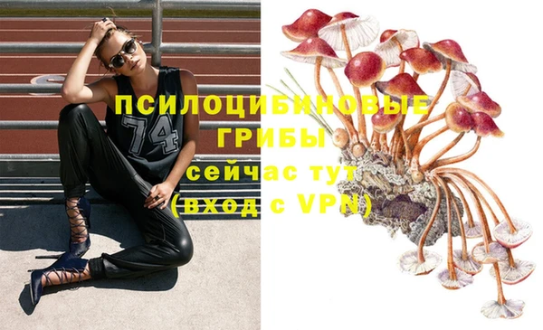 mix Алексеевка