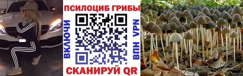 Галлюциногенные грибы GOLDEN TEACHER Усть-Катав